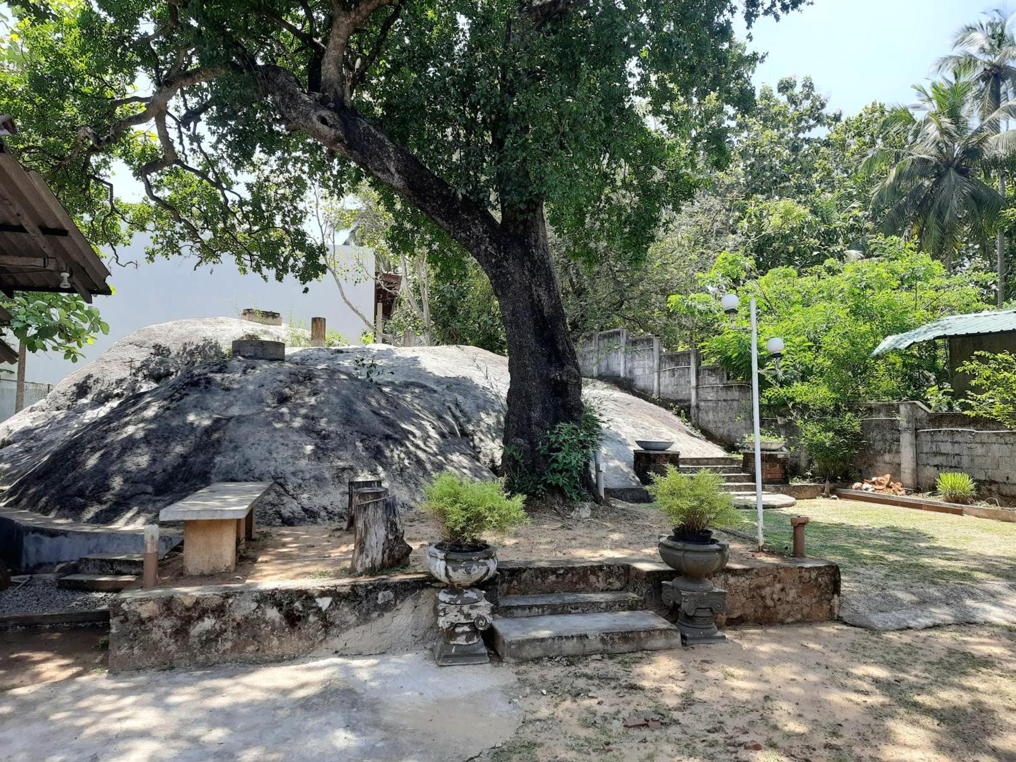 Selagala Resort Anurâdhapura Extérieur photo